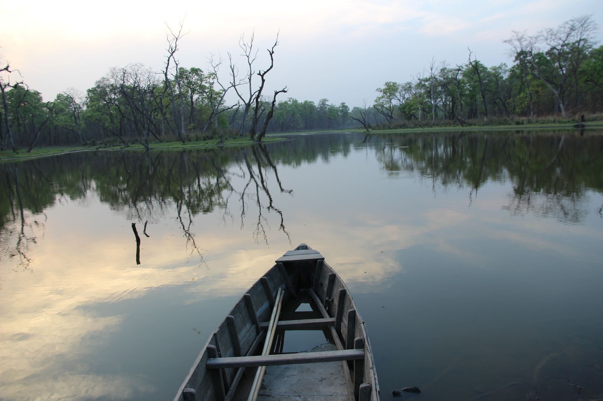 Jungle Sunset Camp Ξενοδοχείο Sauraha Εξωτερικό φωτογραφία